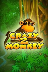 Crazy Monkey 2